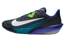 Nike Zoom Rival Fly 4 Obsidian / Persian Violet