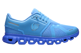 On Cloud 6 Shf WMNS Gourami / Pier