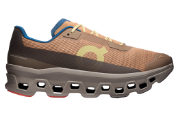 On Cloudmonster Void Sphinx / Cinder