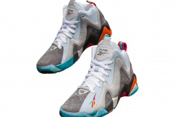 Packer Shoes X Reebok Kamikaze II “Remember The Alamo”
