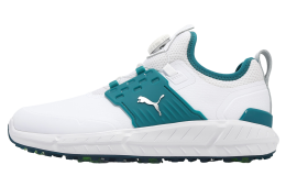 Puma Ignite Articulate Disc White / Silver