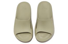 Puma Shibui Cat Birch Tree