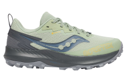 Saucony Peregrine 14 Gtx WMNS Sage / Carbon