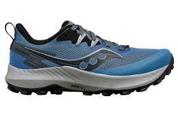 Saucony Peregrine 14 WMNS Astro / Carbon