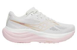 Saucony Wmns Ride 19 WMNS White / Silk