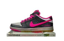 Sean Cliver x Nike SB Dunk Low "Disposable"