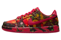 The Wizard of Oz x Nike SB Dunk Low