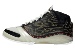 Titan x Air Jordan 23