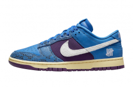 Undefeated x Nike Dunk Low 5 On It