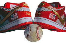 UnheardOf x Anonymous x Nike SB 1990 SB Collection